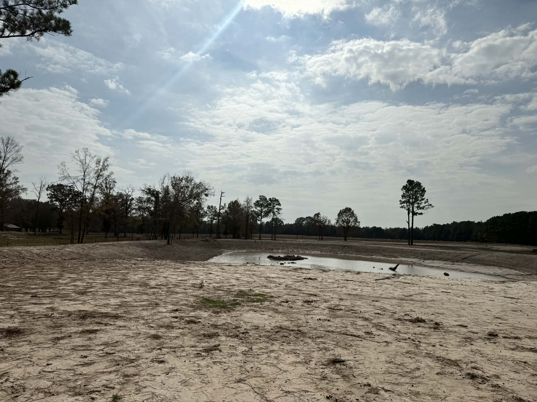 Pond Construction Progress